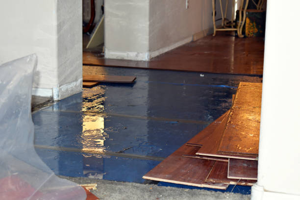 Professional Emergency Water Damage Restoration technician working in Little River-Academy, TX